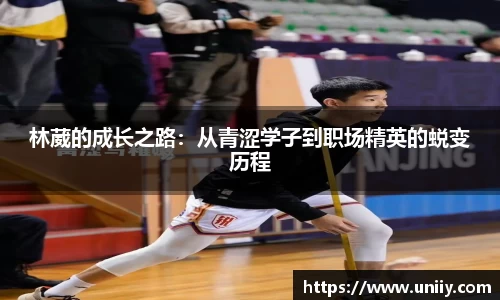 tyc7111cc太阳成集团