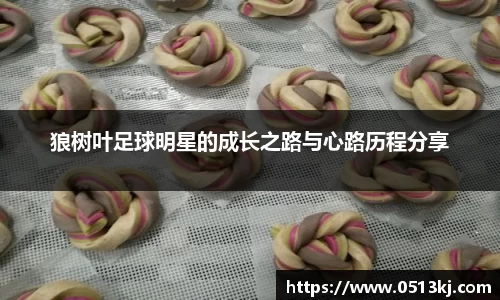 tyc7111cc太阳成集团官网